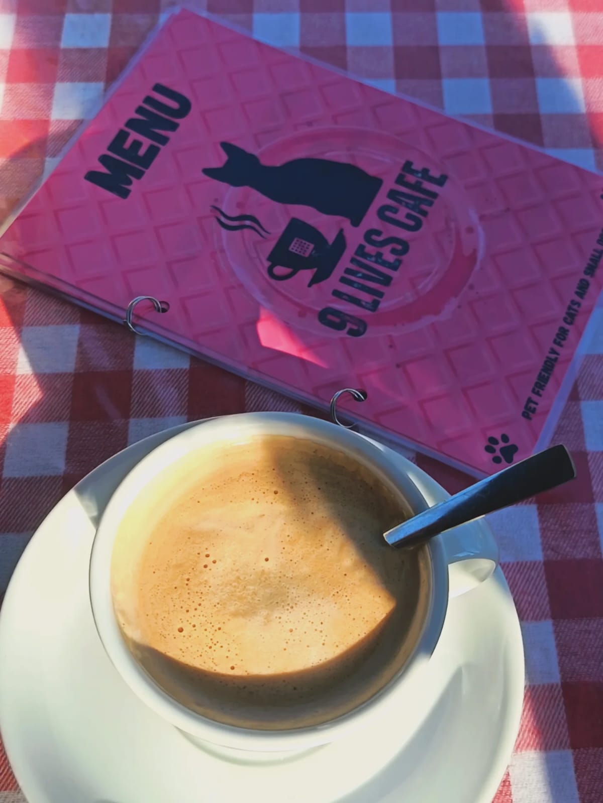 Coffee and 9 Lives Café menu