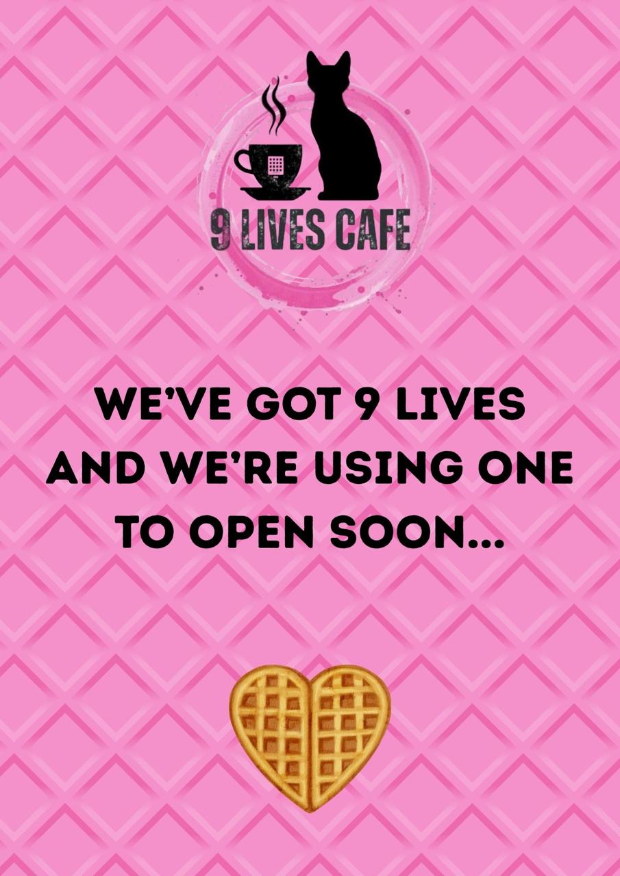 9 Lives Café photo 2
