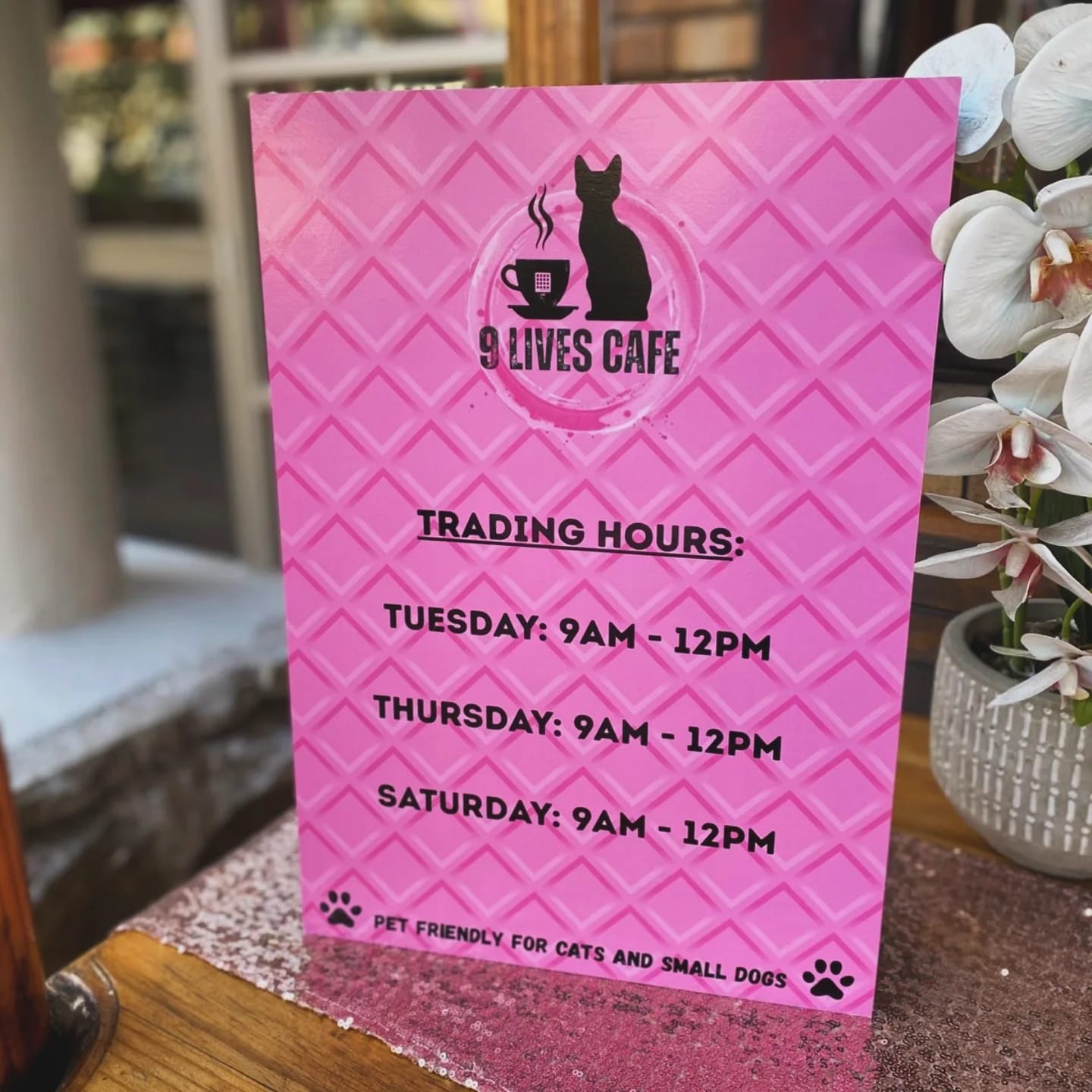 9 Lives Café photo 13