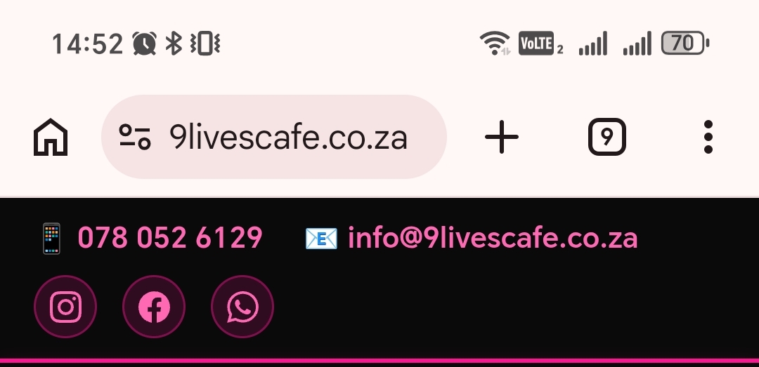 9 Lives Café photo 82