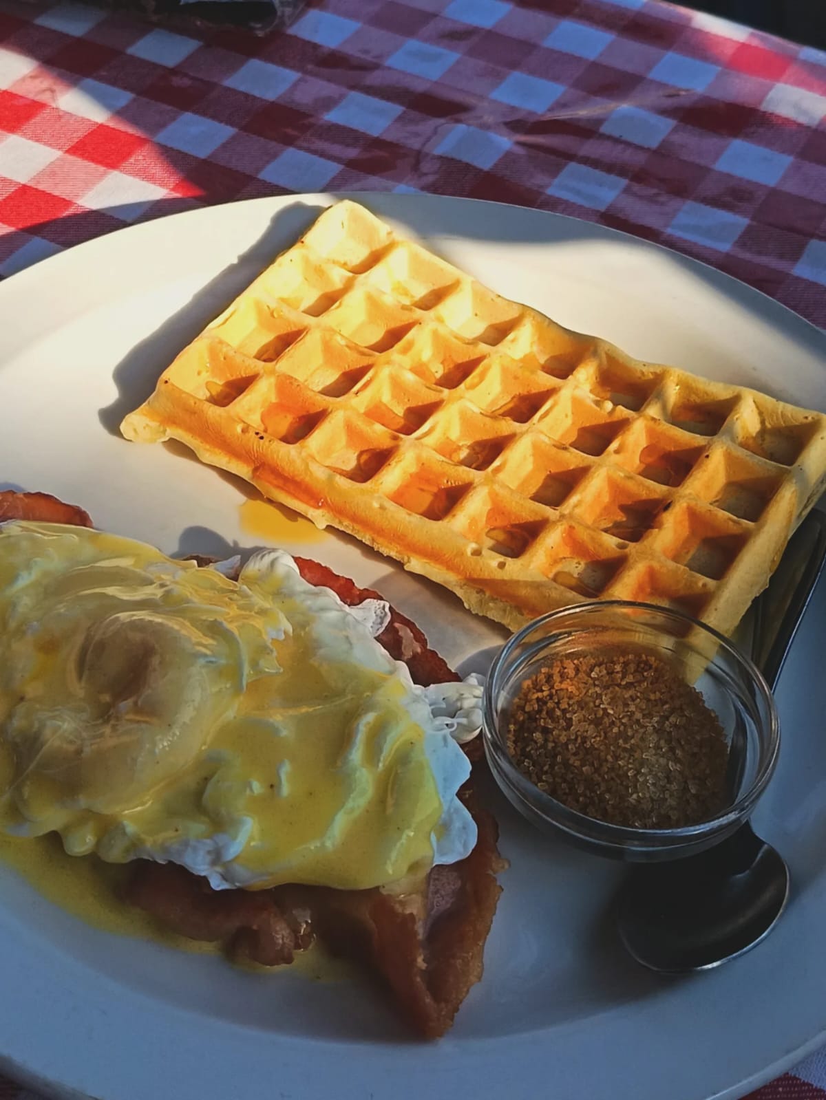 Savoury waffle with eggs benedict